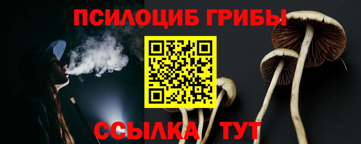 Великие Луки  Галлюциногенные грибы прущие грибы  Вход с VPN 
