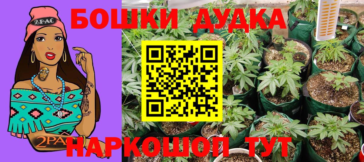 МАРИХУАНА THC 21%  Вход с VPN  Бошки марихуана план  Великие Луки  Каннабис индика 